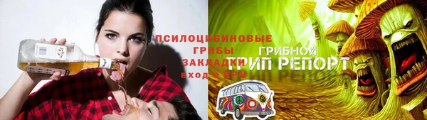 спиды Алзамай