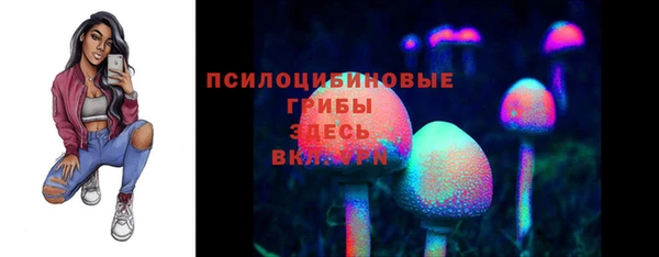 спиды Алзамай