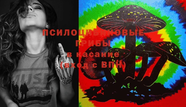 спиды Алзамай