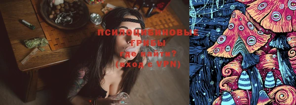 спиды Алзамай