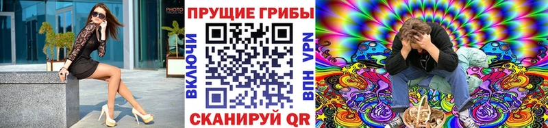 кракен зеркало  дарнет шоп  Краснознаменск  Псилоцибиновые грибы Psilocybe 