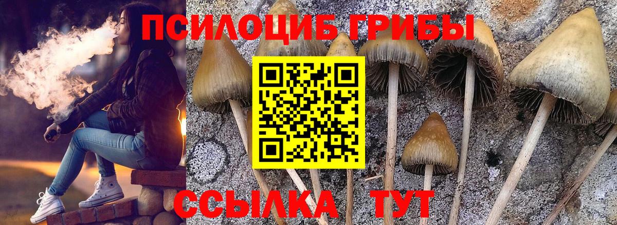 Псилоцибиновые грибы GOLDEN TEACHER  Вход с VPN  Краснознаменск 